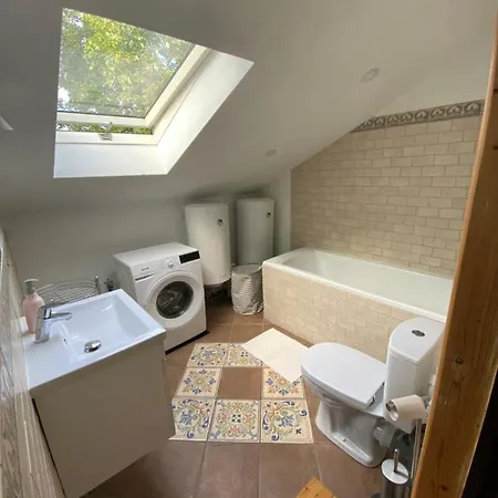 лаванда * 스콜레