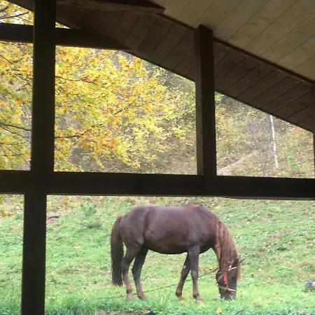 Шале лаванда