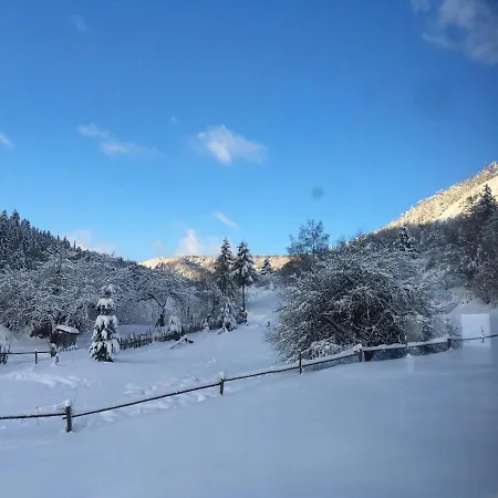 Шале лаванда Сколе