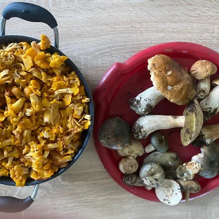 лаванда Шале