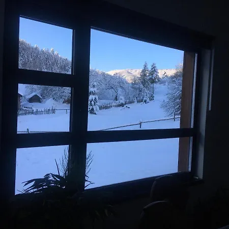 лаванда * Skole