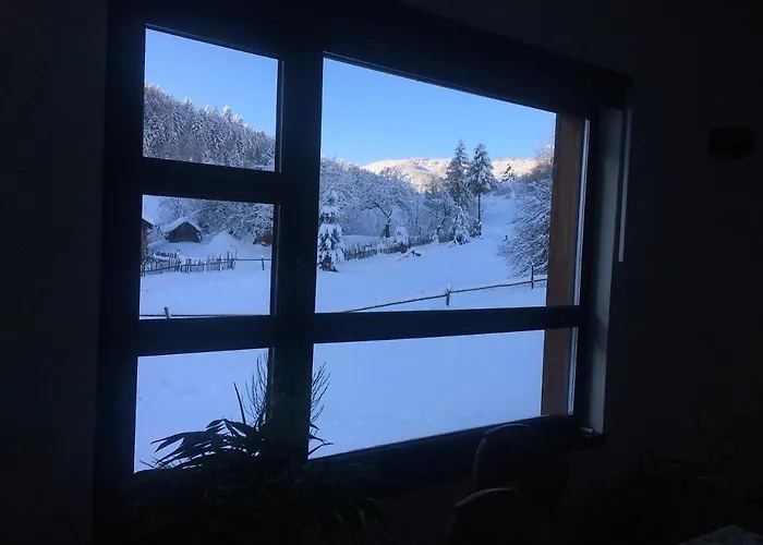 лаванда * Skole